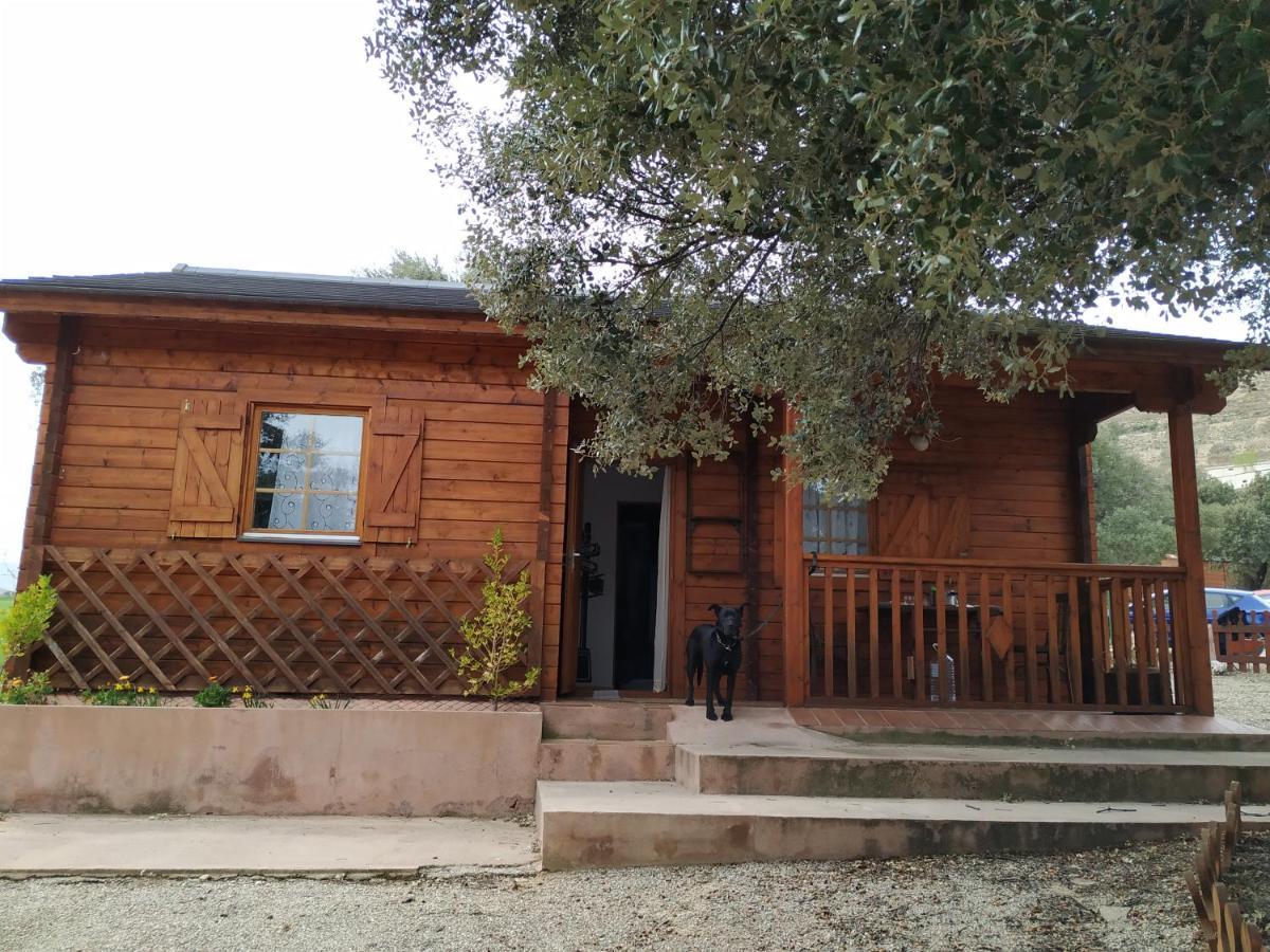 La Casa Del Estanque Villa Olocau del Rey Exterior photo